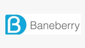 Baneberry Finance