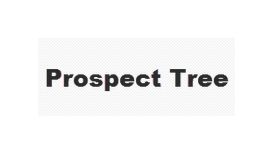 Prospect Tree Financial Services